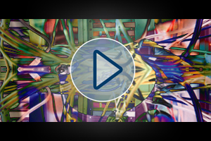 Video zu Datenrettungen in virtuellen Umgebungen